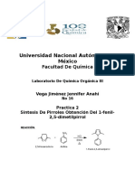 Practica 2 Pirroles