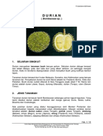 DURIAN.pdf