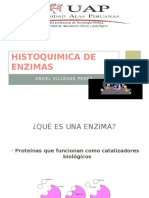 Histoquimica de Enzimas Angel