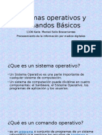 Sistemas Operativos y Comandos Básicos