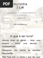 liberdadeeconhecimentoespinosa-140309145842-phpapp01.ppt