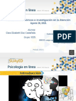 Fundamentos Teóricos e Investigación en la Atención