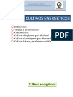 Capitulo 3 Cultivos Ebnerfgeticos 2015