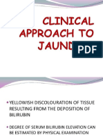 Clin Approach to Jaundice