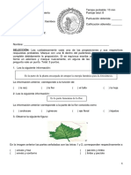 I Examen Parcial Ciencias Zapand I 2012