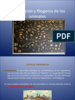 Clasificacion y Filogenia de Los Animales PDF