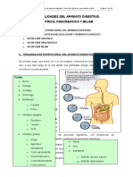 Sistema digestivo: generalidades y secreciones gástrica, pancreática y biliar