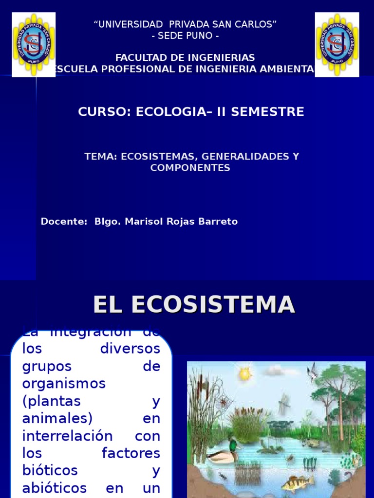 Clases de Ecologia - Ecosistemas | PDF | Red alimentaria | Ecología