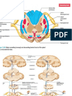 Vanny Neuro