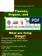 Cells Tissues Organs and Systems Power Point
