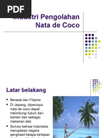 Download NA Nata de coco by Theodora Rahayuni SN32508153 doc pdf