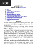 Principios Del Derecho