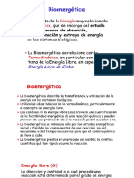 BIOENERGETICA.pdf