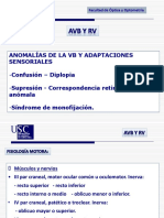 TEMA 1 Anomalías de La VB y Adaptaciones Sensoriales