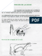 ganaderia21-2