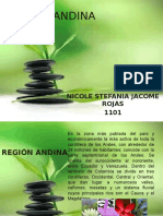 Région Andina (Autoguardado)