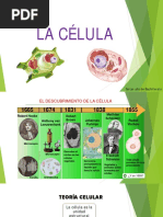 Teoría Celular