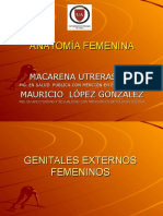 Anatomia Femenina