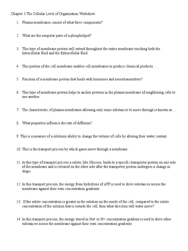 Chapter 3 Test Worksheet Cell Membrane Cell (Biology)