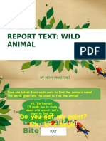 Report Text: Animal