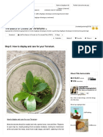 The Basics of Closed Jar Terrariums - 5 PDF