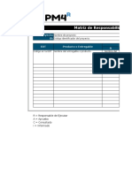 Matriz de Responsabilidades - Plantilla Con Ejemplos_0