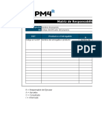 Matriz de Responsabilidades - Plantilla Con Ejemplos - 0