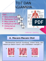 Presentasi Bab Otot