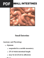 General Surgery SMALL INTESTINES-Dr Mendoza