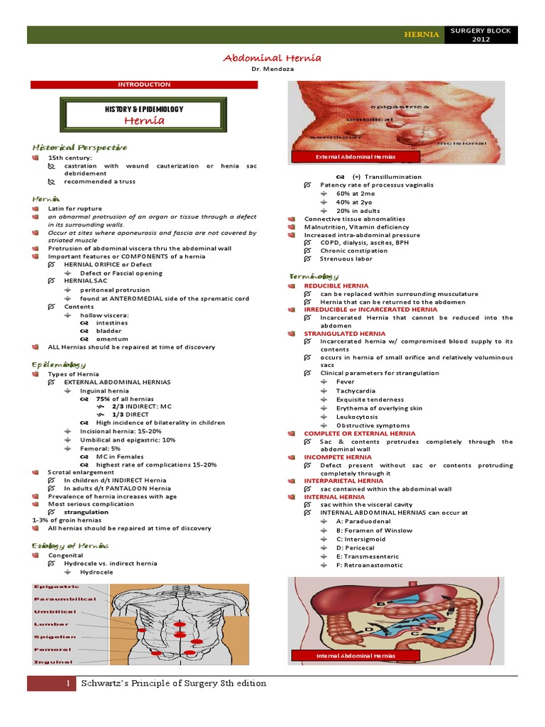 External Abdominal Hernias Guide | PDF | Abdomen