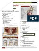 SURGERY Lecture 5 - Abdominal Wall, Omentum, Mesentery, Retroperitoneum (Dr. Wenceslao)