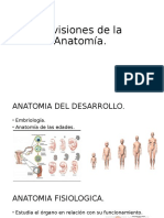 Anatomía: divisiones, desarrollo, fisiología, patología, anormal y artística