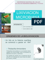 LIXIVIACION-MICROBIANA - xDpptx0