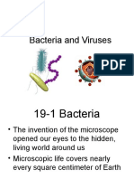 Bacteria & Virus