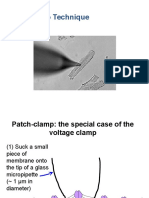 Patch Clamp