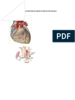 Anatomi Fisiologi Sistem Kardiovaskuler Massa Maternal