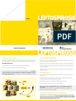 Leptospirosis-diptico