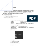 Pre Formulas I