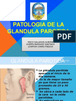 GLANDULAS-pppppffff-revisar