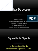 Squelette de L'epaule PDF