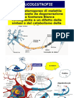 LEUCODISTROFIEA