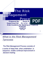 Risk Management Process