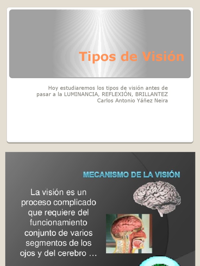Tipos de Visión: Escotópica, Mesópica y Fotópica | PDF | Percepción ...
