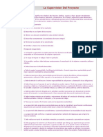 Funciones Del Supervisor de Proyectos PDF