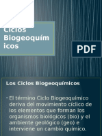 Ciclos Biogeoquímicos 