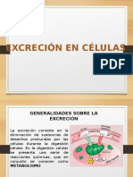 Excrecion Celular