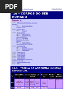 Corpos de Energia e Tabelas Do Ser