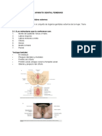 Primer Departamental