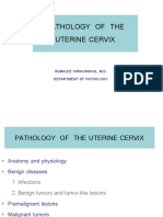 Pathology of the Uterine Cervix