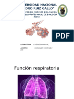 Función Respiratoria